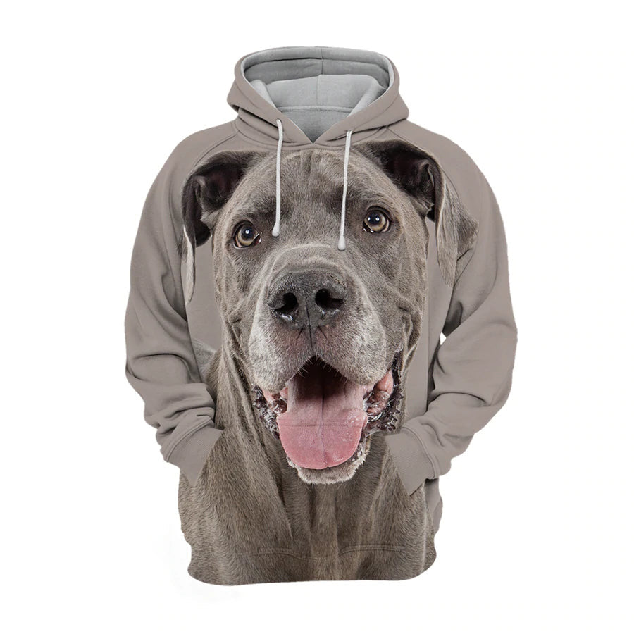 Great Dane 2 – Unisex 3D Graphic Hoodie